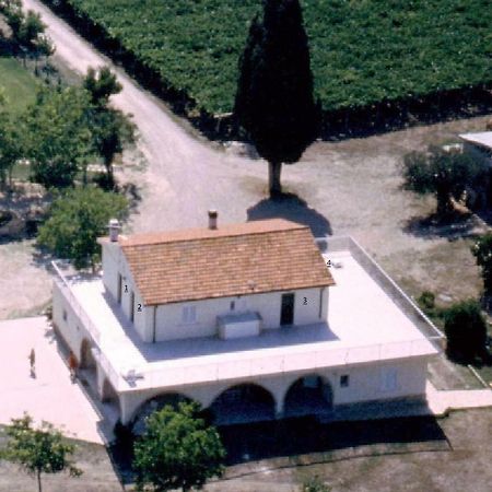 Agriturismo Torre Mannella - La Loggia 圣安杰洛城 外观 照片