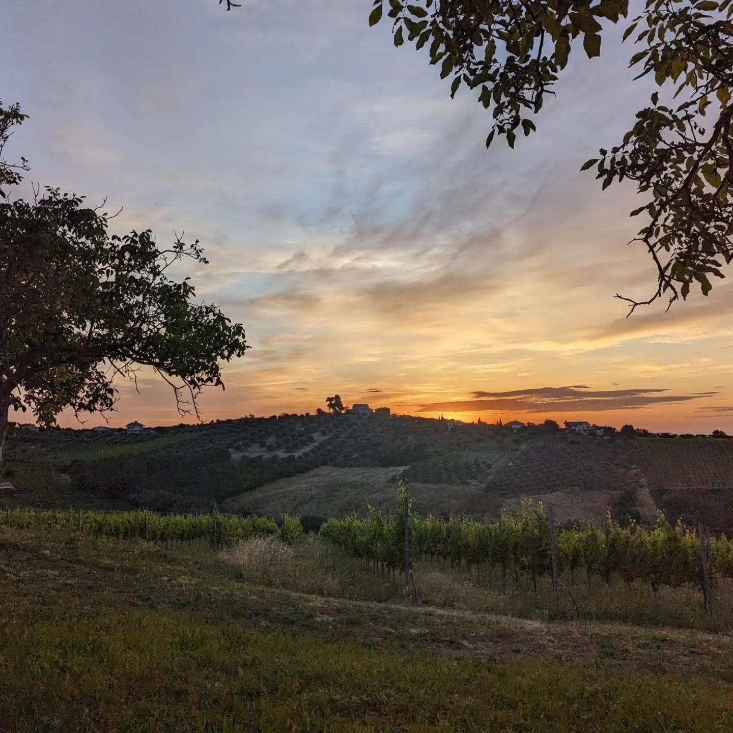 Agriturismo Torre Mannella - La Loggia 圣安杰洛城 外观 照片